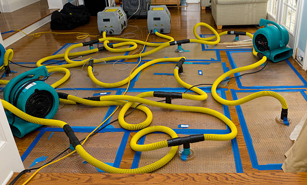 Professional Structural Drying And Dehumidification technician working in Shafer, MN